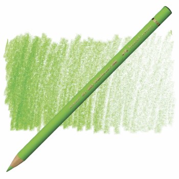 Faber-Castell Polychromos Artists' Colour Pencil - Light Green 171