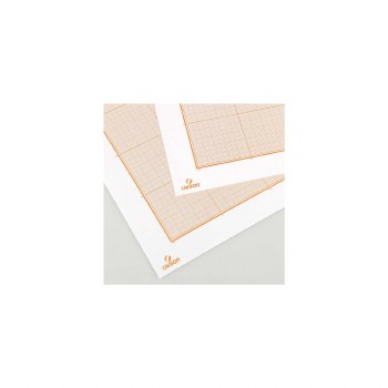 Canson 2 Sheets of Graph Paper Rolled - 50x65cm