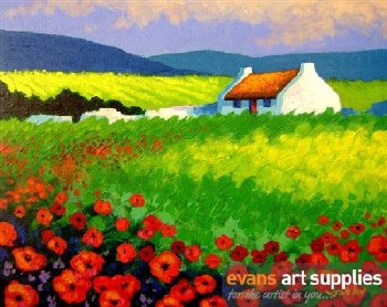 John Nolan Card Poppy Scape Wi