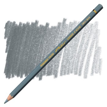 Caran D'Ache Pablo Water-Resistant Coloured Pencil - Grey 005