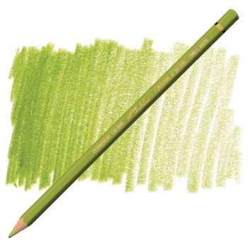 Caran D'Ache Pablo Water-Resistant Coloured Pencil - Khaki Green 016