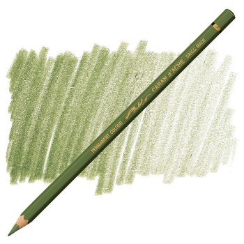 Caran D'Ache Pablo Water-Resistant Coloured Pencil - Olive Grey 018