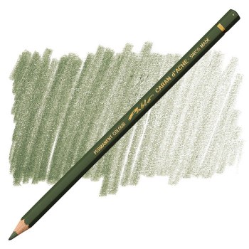 Caran D'Ache Pablo Water-Resistant Coloured Pencil - Olive Black 019