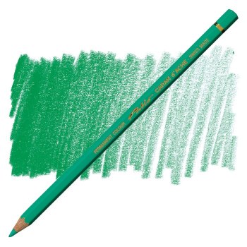 Caran D'Ache Pablo Water-Resistant Coloured Pencil - Greish Green 215