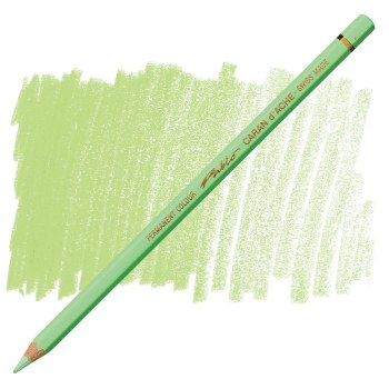 Caran D'Ache Pablo Water-Resistant Coloured Pencil - Light Green 221