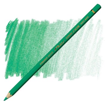 Caran D'Ache Pablo Water-Resistant Coloured Pencil - Peacock Green 460