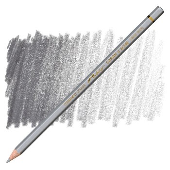 Caran D'Ache Pablo Water-Resistant Coloured Pencil - Silver 498