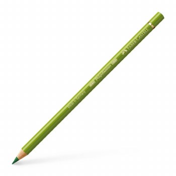 Faber-Castell Polychromos Artists' Colour Pencil - Earth Green Yellowish 168