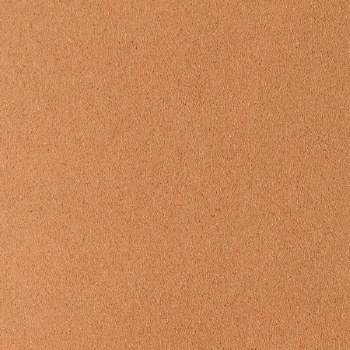 Sennelier Pastel Card Peach 005 (Min 2 Sheets)