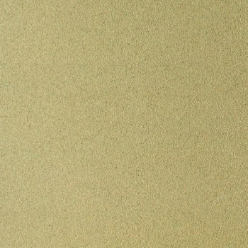 Sennelier Pastel Card Light Green 008 (Min 2 Sheets)