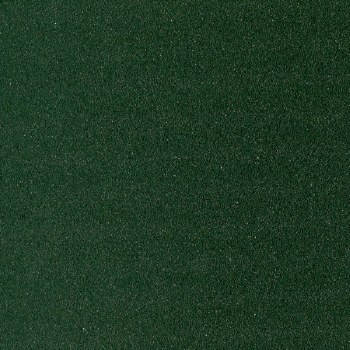 Sennelier Pastel Card Dark Green 009 (Min 2 Sheets)