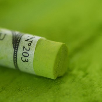 Sennelier Soft Pastel - Leaf Green 203