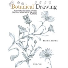Botanical Drawing