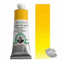 Old Holland 40ml D13 Cadmium Yellow Medium