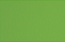 Fabriano Elle Erre 50x70cm Verde (Green) - Min 3 Sheets Fabriano Elle Erre 50x70cm Verde (Green) - Min 3 Sheets