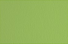 Fabriano Elle Erre 50x70cm Verde Pisello (Pea Green) - Min 3 Sheets Fabriano Elle Erre 50x70cm Verde Pisello (Pea Green) - Min 3 Sheets