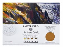Pastel Card Pack - 6 Sheets 40x30cm - Assorted Earth Tones Pastel Card Pack - 6 Sheets 40x30cm - Assorted Earth Tones
