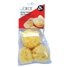 Natural Sea Sponge