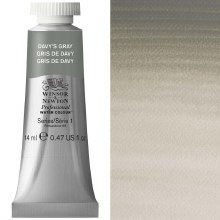 W&N Professional Watercolour 14ml Davy's Gray