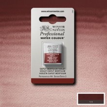 W&N Professional Watercolour Half Pan Caput Mortuum Violet