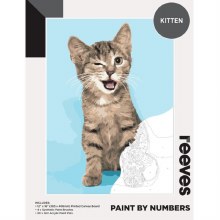 Paint by Numbers Kitten Paint by Numbers Kitten