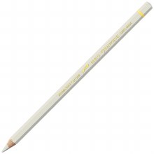Caran D'Ache Pablo Water-Resistant Coloured Pencil - Ash Grey 401