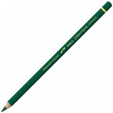 Caran D'Ache Pablo Water-Resistant Coloured Pencil - Dark Green 229