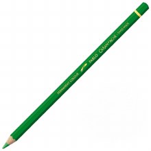 Caran D'Ache Pablo Water-Resistant Coloured Pencil - Grass Green 220