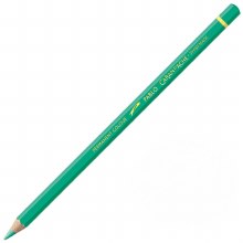 Caran D'Ache Pablo Water-Resistant Coloured Pencil - Greish Green 215