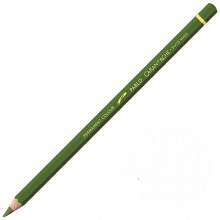 Caran D'Ache Pablo Water-Resistant Coloured Pencil - Olive Grey 018