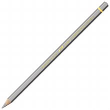 Caran D'Ache Pablo Water-Resistant Coloured Pencil - Silver 498
