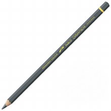 Caran D'Ache Pablo Water-Resistant Coloured Pencil - Slate Grey 495