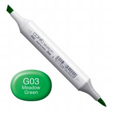 Copic Sketch G03 Meadow Green