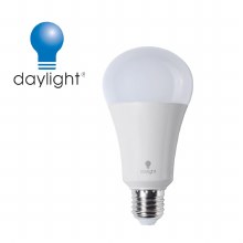 Daylight LED Bulb 19W