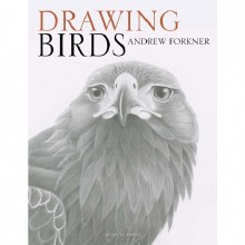 Additional picture of Drawing Birds