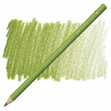 Faber-Castell Polychromos Artists' Colour Pencil - Earth Green Yellowish 168