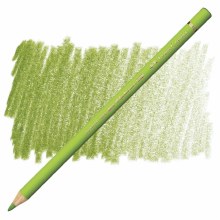 Faber-Castell Polychromos Artists' Colour Pencil - May Green 170
