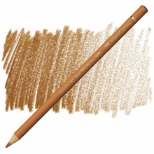 Faber-Castell Polychromos Artists' Colour Pencil - Burnt Ochre 187