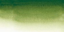 Sennelier L'Aquarelle Watercolour 10ml Sap Green 819