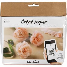 Mini Craft Kit Crepe Paper