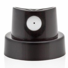 Montana CAP Standard