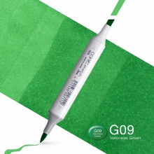 Copic Sketch G09 Veronese Green