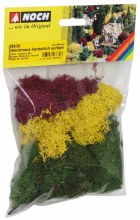 Lichen Autumn Mixed 35g