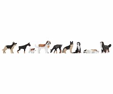 Dogs - Larger Breeds
