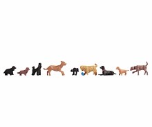 Dogs - Smaller Breeds