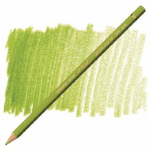 Caran D'Ache Pablo Water-Resistant Coloured Pencil - Khaki Green 016