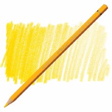 Caran D'Ache Pablo Water-Resistant Coloured Pencil - Golden Yellow 020