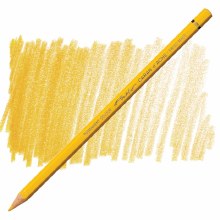 Caran D'Ache Pablo Water-Resistant Coloured Pencil - Golden Ochre 033