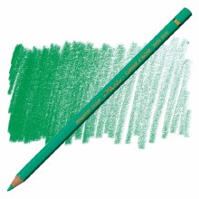 Caran D'Ache Pablo Water-Resistant Coloured Pencil - Greish Green 215