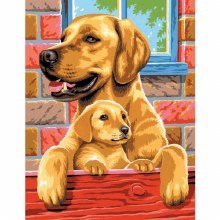 Paint By Numbers - Medium - Dog Twin Pack